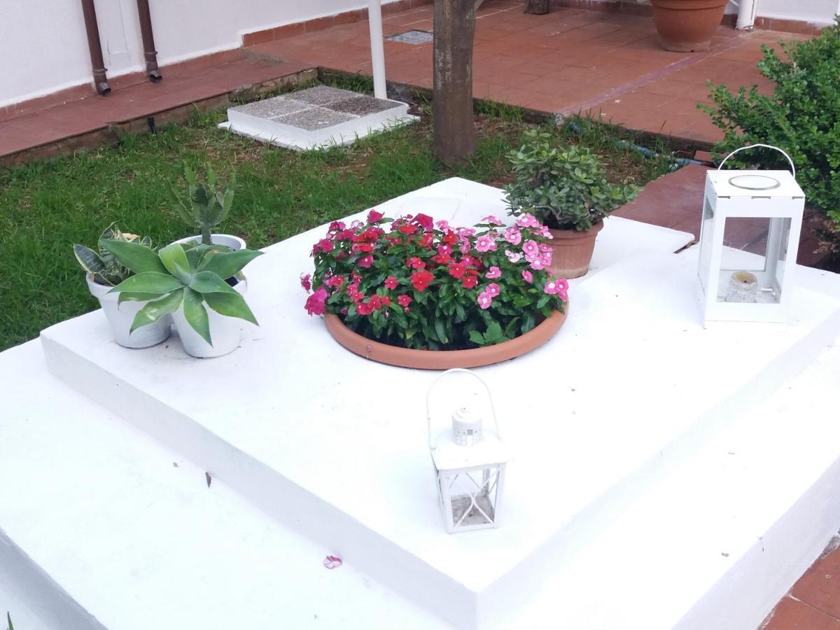Casa Agrumeto - Locazione Turistica Mondello Exteriér fotografie