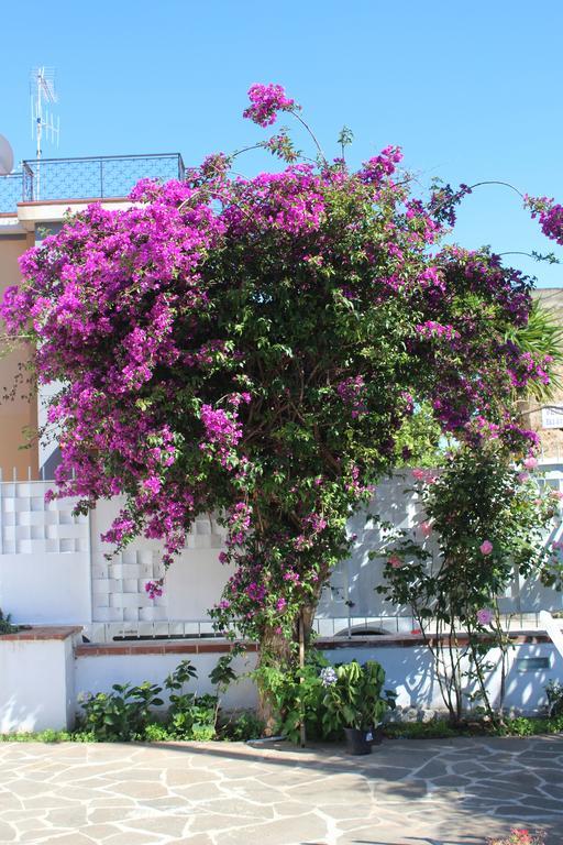 Casa Agrumeto - Locazione Turistica Mondello Pokoj fotografie