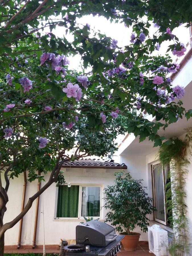 Casa Agrumeto - Locazione Turistica Mondello Exteriér fotografie